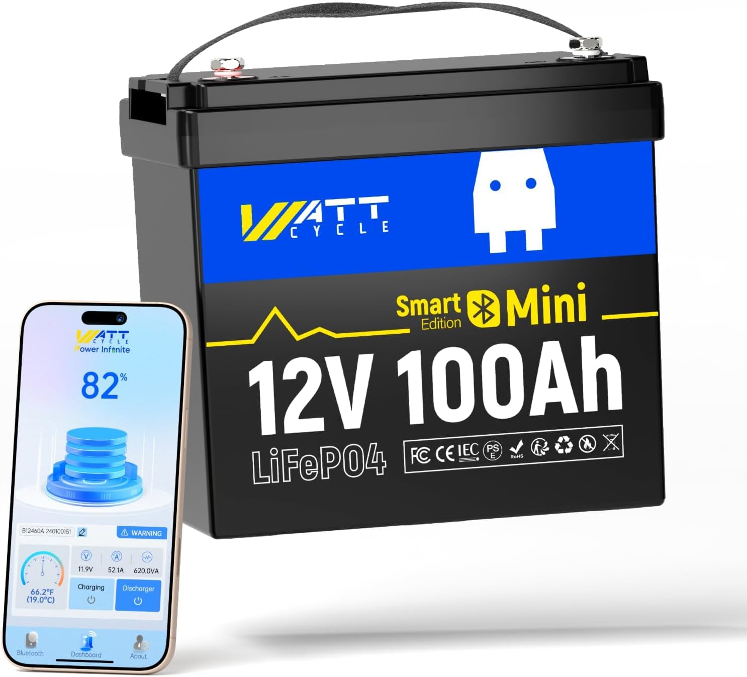 12V 100Ah Mini LiFePO4 Battery - Lifepo4 12V 100Ah Bms Bluetooth recension och pris